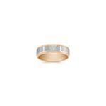 14k Two-Tone Gold Ring (6mm)