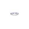 Round Sapphire and Princess Cut Diamond Anniversary Band