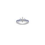 Vintage Round Sapphire and Diamond Platinum Engagement Ring with Channel Setting