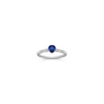 Round Sappire and Diamond Ring