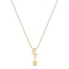 14k Yellow Gold Pendant (18)