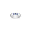 Princess Cut Sapphire and Diamond Ring