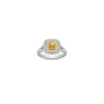 Diamond Double Halo Engagement Ring in Two-Tone Gold with Pave Setting