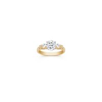 ... assured that you will find that perfect engagement ring at Shane Co