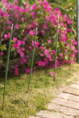 Ashleigh & Burwood Garden Incense Sticks