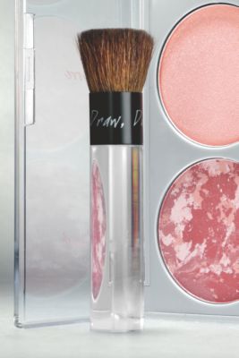 Pur Minerals Chisel Brush