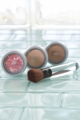 Pur Minerals Pur Perfection Starter Kit