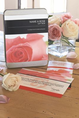 Name A Rose Gift Box