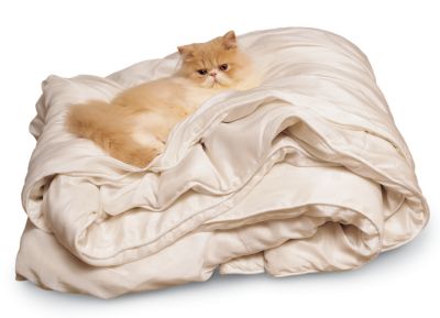 Silk Comforter