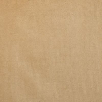 Additional Slipcover for Maison Chair    White