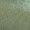 WILLOW Swatch