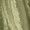 SAGE Swatch