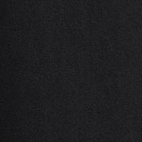 BLACK Swatch