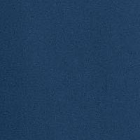 NAVY Swatch