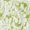 CELADON Swatch