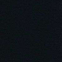 BLACK Swatch