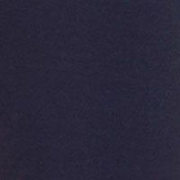 MIDNIGHT BLUE Swatch