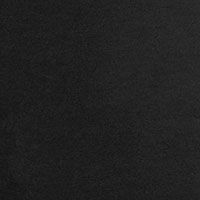 BLACK Swatch