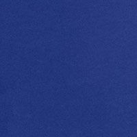 ELECTRIC BLUE Swatch