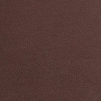 BROWN Swatch