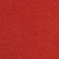 PERSIMMON Swatch