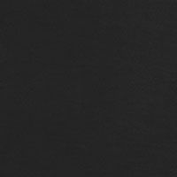 BLACK Swatch