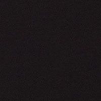 BLACK Swatch