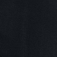 BLACK Swatch