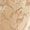 NUDE LACE Swatch