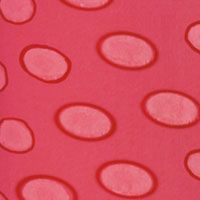 HONEYSUCKLE Swatch