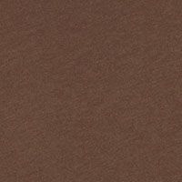 BURNT SIENNA Swatch