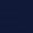 NAVY Swatch