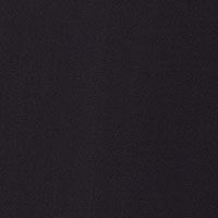 BLACK Swatch