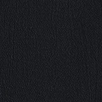 BLACK Swatch