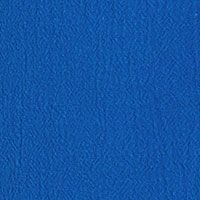 ROYAL BLUE Swatch