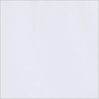 WHITE Swatch