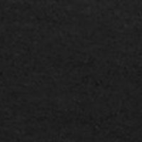 BLACK Swatch
