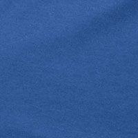 PALACE BLUE Swatch