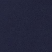 FRENCH BLUE Swatch