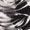 BLACK/WHITE Swatch