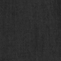 BLACK Swatch