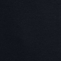 BLACK Swatch