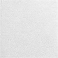 WHITE Swatch