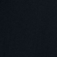 BLACK Swatch