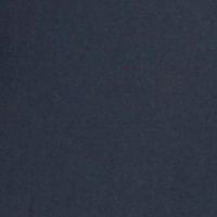 NAVY Swatch