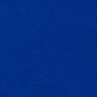ADMIRAL BLUE Swatch