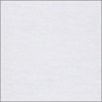 WHITE Swatch