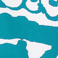 TEAL/WHITE Swatch
