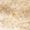 GOLD Swatch