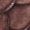 BROWN Swatch